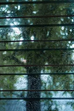 Wet windows Stock Photos