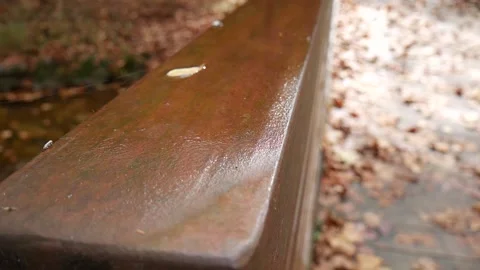 Wet wooden patch on a bridge in the forest 스톡 동영상 141765028