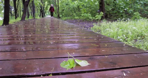 Wet wooden path Stockbeeldmateriaal 195700512