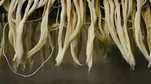 Wet wool yarn Stock Footage 158441436