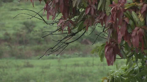 Wet3 Stock Footage 1055231