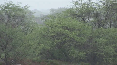 Wet4 動画素材 1055343