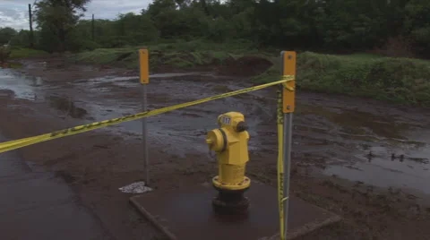 Wet5 動画素材 1055298