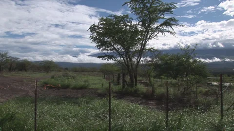 Wet6 動画素材 1055392