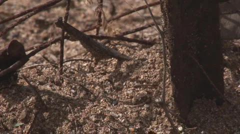 Wet8 動画素材 1055457