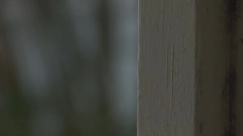 Wet9 動画素材 1055478