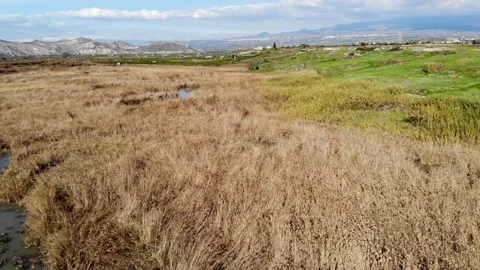 The wetland around Simeto river. 스톡 동영상 269906175