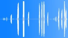 Wetland Atmosphere Atmosphere Recorded Sound Effect