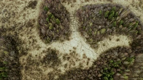 Wetland Complex Stock Footage 154484808