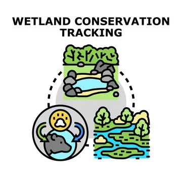 Wetland conservation tracking observing ecosystem and wildlife Illustrazione stock