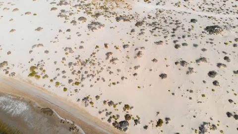 Wetland in Desert Stock Footage 129551865