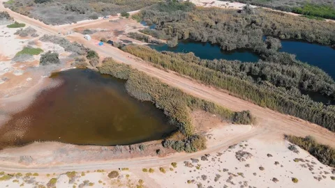 Wetland Drone Shot Stock Footage 129544232