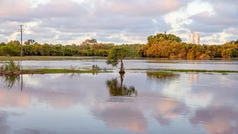 A Wetland Ecosystem At Sunset Stock Photos