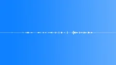 A Wetland Flock Of Purple GracklesSound Effect