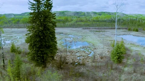 Wetland flyover Stock Footage 154725889