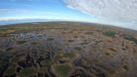 Wetland Flyover Stock Footage 236943457