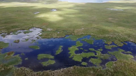 Wetland 스톡 동영상 232537370