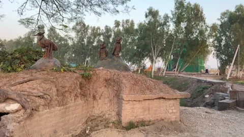 Wetland Stock Footage 322937569