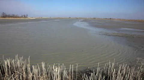 Wetland landscape Stock Footage 24652300