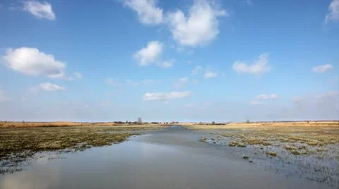 Wetland landscape Video stock 24652328
