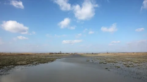 Wetland landscape Stock Footage 24652334