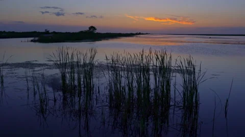 WETLAND LANDSCAPE  Stock Footage 228710635