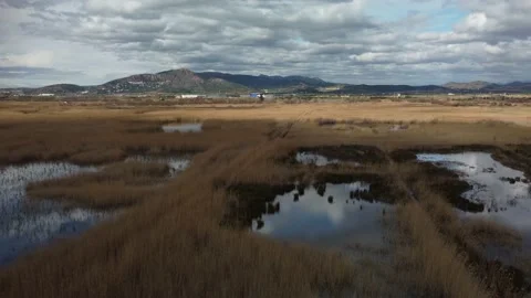 The wetland of Marjal dels Moros, Valencia Stock Footage