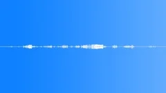 A Wetland Of The Northern Forests At First Light Sound Effect