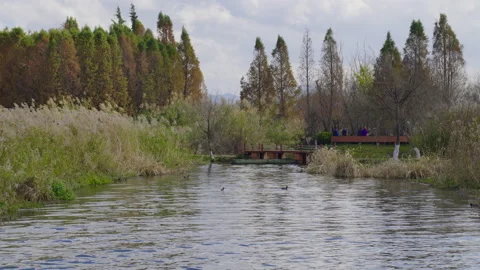 Wetland park Stock Footage 233655869
