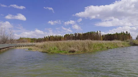 Wetland park Stock Footage 233655922