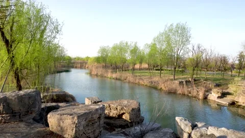 Wetland Park Spring View Stock Footage 153418951