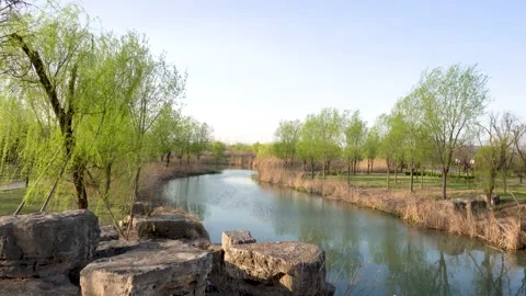 Wetland Park Spring View Stock Footage 153419244
