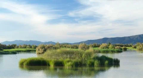 Wetland Stock-Fotos