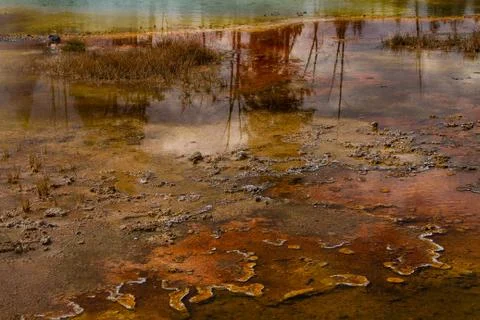 Wetland Reflection Stock Photos