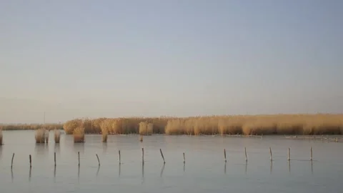Wetland reserve in winter 動画素材 285290830