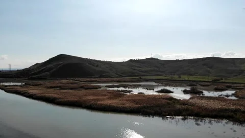 The wetland of Simeto river, Sicily. 스톡 동영상 269906149