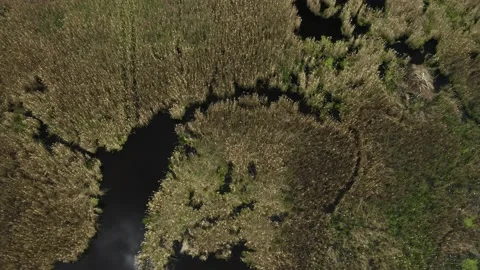 Wetland sky reflection Stockbeeldmateriaal 154302433