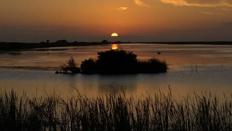 WETLAND SUNSET Stock Footage 228711579