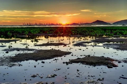 Wetland sunset Stock Photos