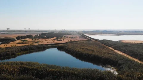 Wetland View at Sunset Stock Footage 129544464
