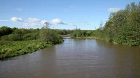 Wetlands Stock Footage 10579832
