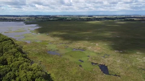 Wetlands 스톡 동영상 232537359