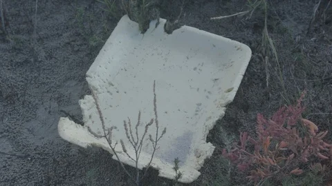 Wetlands Litter Stock Footage 127545023