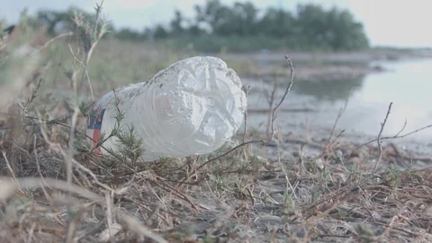 Wetlands Litter 스톡 동영상 127545025
