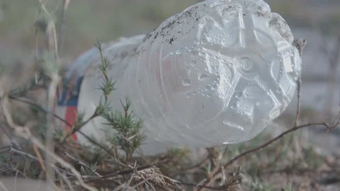 Wetlands Litter Stock Footage 127545026