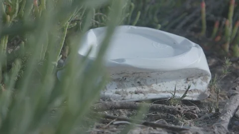 Wetlands Litter 스톡 동영상 127545030