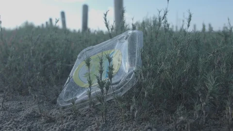 Wetlands Litter Stock Footage 127545087