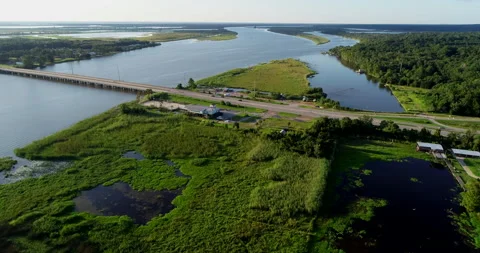 Wetlands in Mobile Bay Stock Footage 146649930
