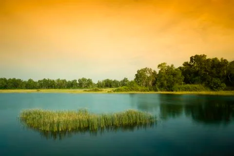 Wetlands Stock Photos