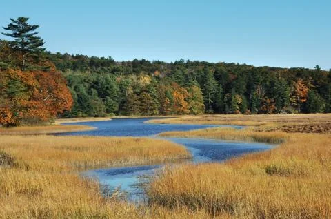 Wetlands Foto stock